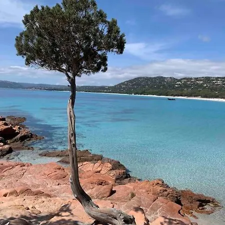 Feriehus Vesta 62m2 A St Cyprien 700 M De La Et Du Village Lecci