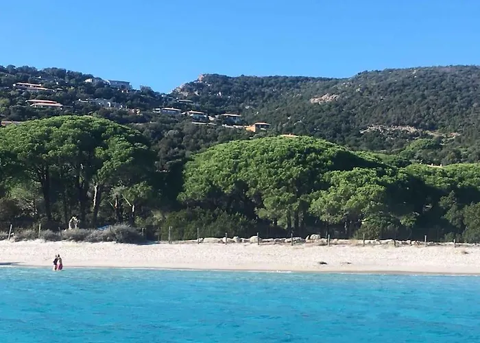 Vesta 62m2 A St Cyprien 700 M De La Et Du Village *