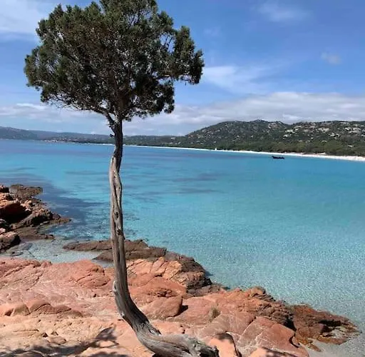 Prázdninový dům Vesta 62m2 A St Cyprien 700 M De La Et Du Village Lecci